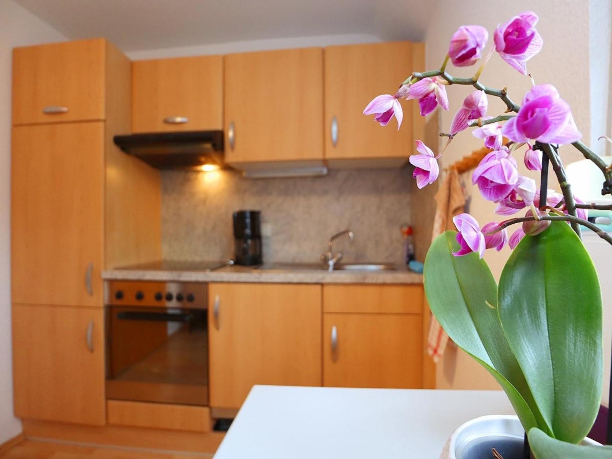 Cozy Apartment in Schwenningen with Garden Villingen-Schwenningen Exterior foto